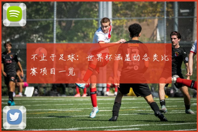 不止于足球：世界杯涵盖的各类比赛项目一览