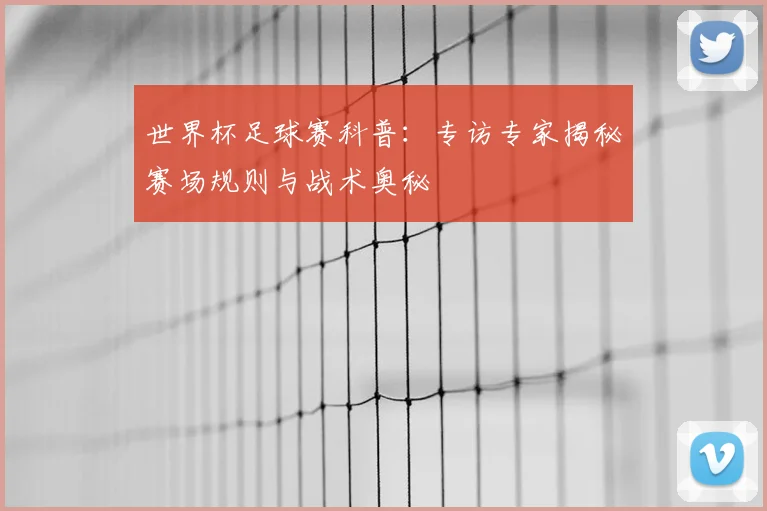 世界杯足球赛科普:专访专家揭秘赛场规则与战术奥秘