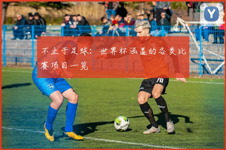 不止于足球：世界杯涵盖的各类比赛项目一览