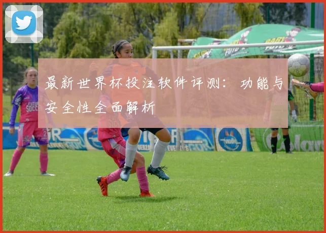 最新世界杯投注软件评测:功能与安全性全面解析