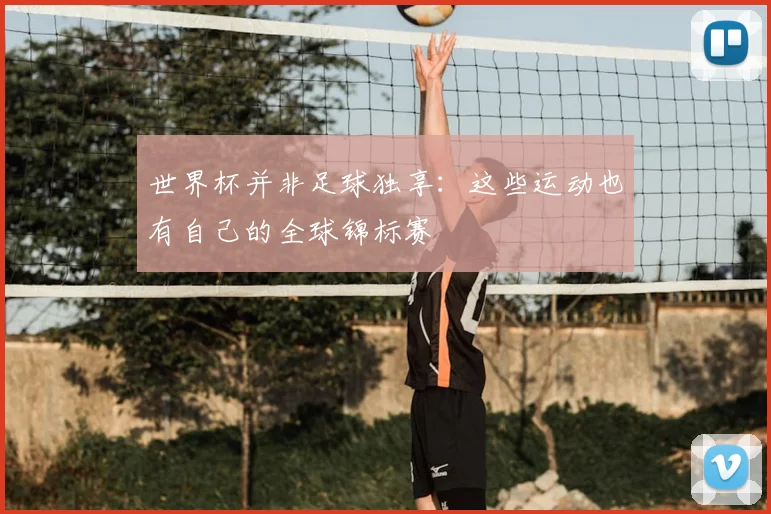 世界杯并非足球独享:这些运动也有自己的全球锦标赛