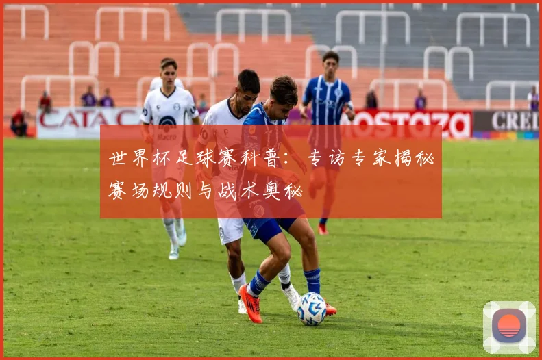 世界杯足球赛科普：专访专家揭秘赛场规则与战术奥秘