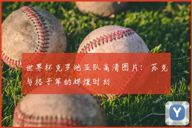 世界杯克罗地亚队高清图片：苏克与格子军的辉煌时刻